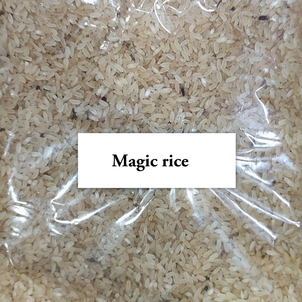 Mazgi Rice Magic Rice in Assam: No Need to cooking
