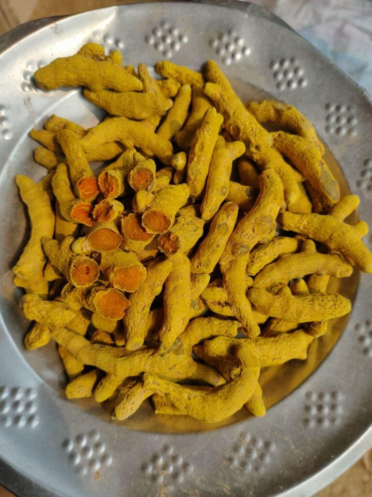 megha turmeric